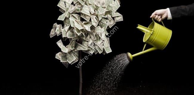 Placement financier : comment faire fructifier 500.000 euros efficacement