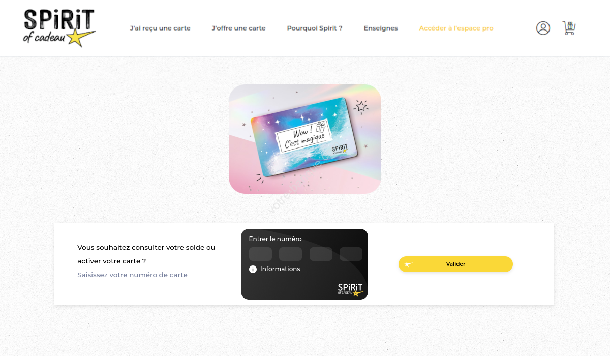 Solde de ma carte Spirit of Cadeau : consultez votre solde en ligne